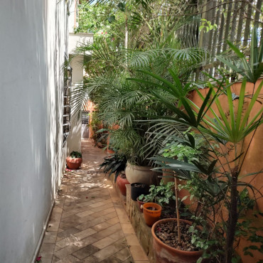 Clínica Espaço Aprender — Jardim interno